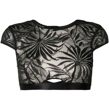 Load image into Gallery viewer, MYLA - Soho Crop Top - Black